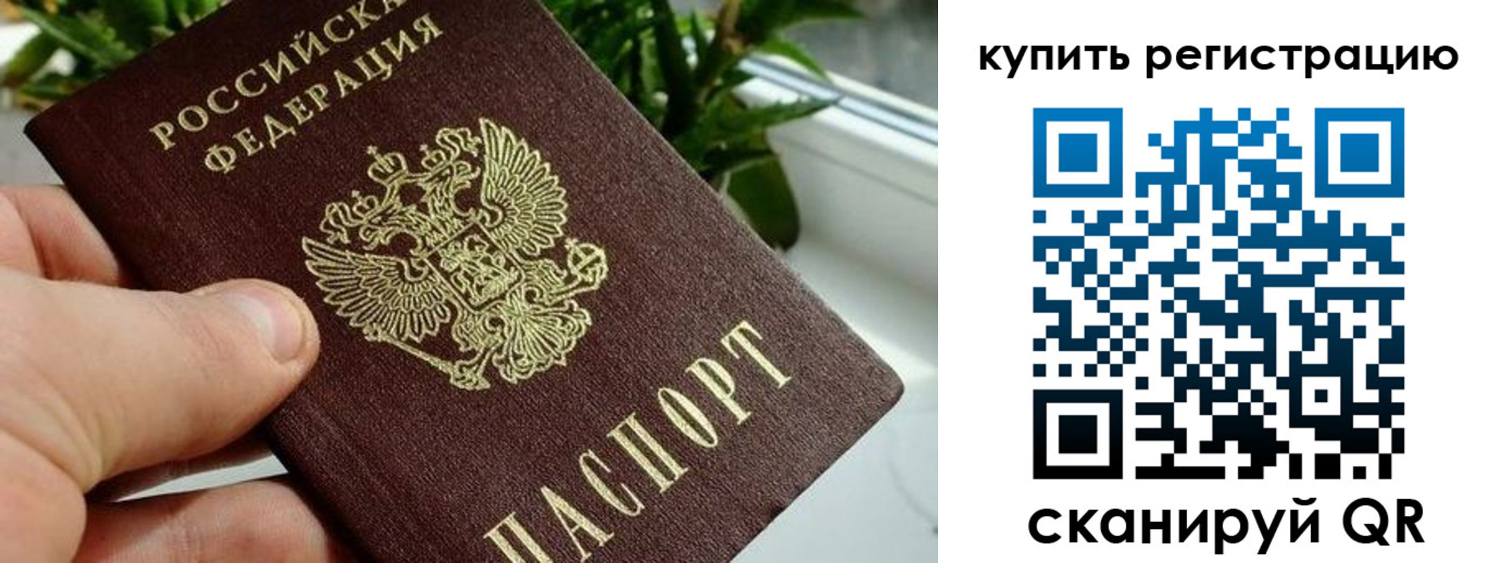 прописка гарантия в Балахне